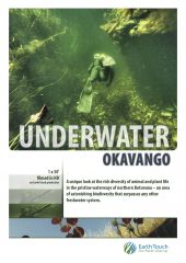 Pod wodami Okawango